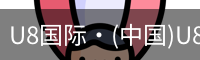 U8国际